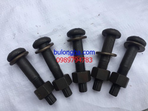 Bulong S10T